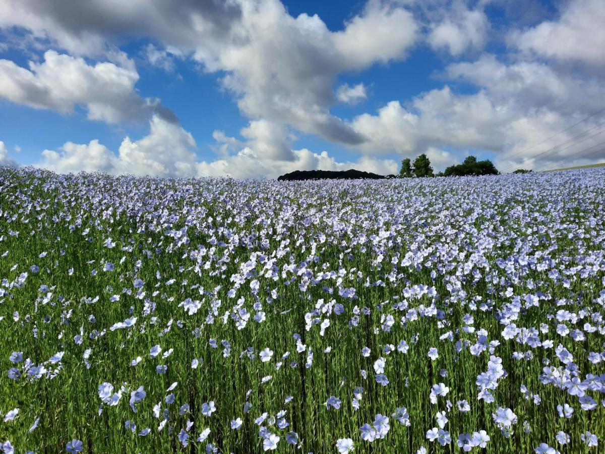 Le Clos Brayon Saint-Honore  外观 照片